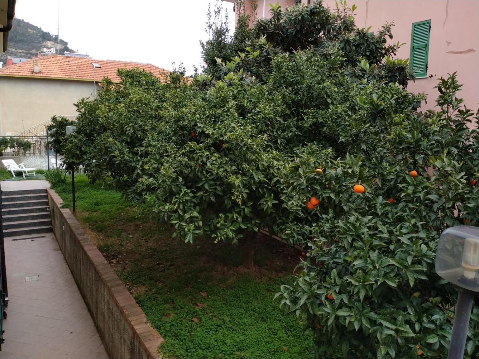 La Casa Di Cri Al Mare Due Borgio Verezzi Exterior foto
